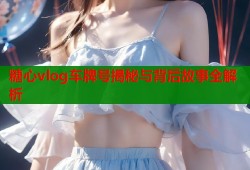 糖心vlog车牌号揭秘与背后故事全解析