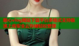 糖心vlog网站下载平台多格式支持极速上传安全云存储轻松管理