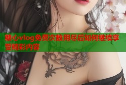 糖心vlog免费次数用尽后如何继续享受精彩内容