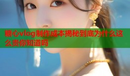 糖心vlog制作成本揭秘到底为什么这么贵你知道吗