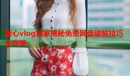 糖心vlog独家揭秘免费网盘破解技巧全攻略
