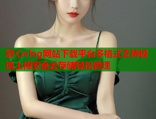 糖心vlog网站下载平台多格式支持极速上传安全云存储轻松管理